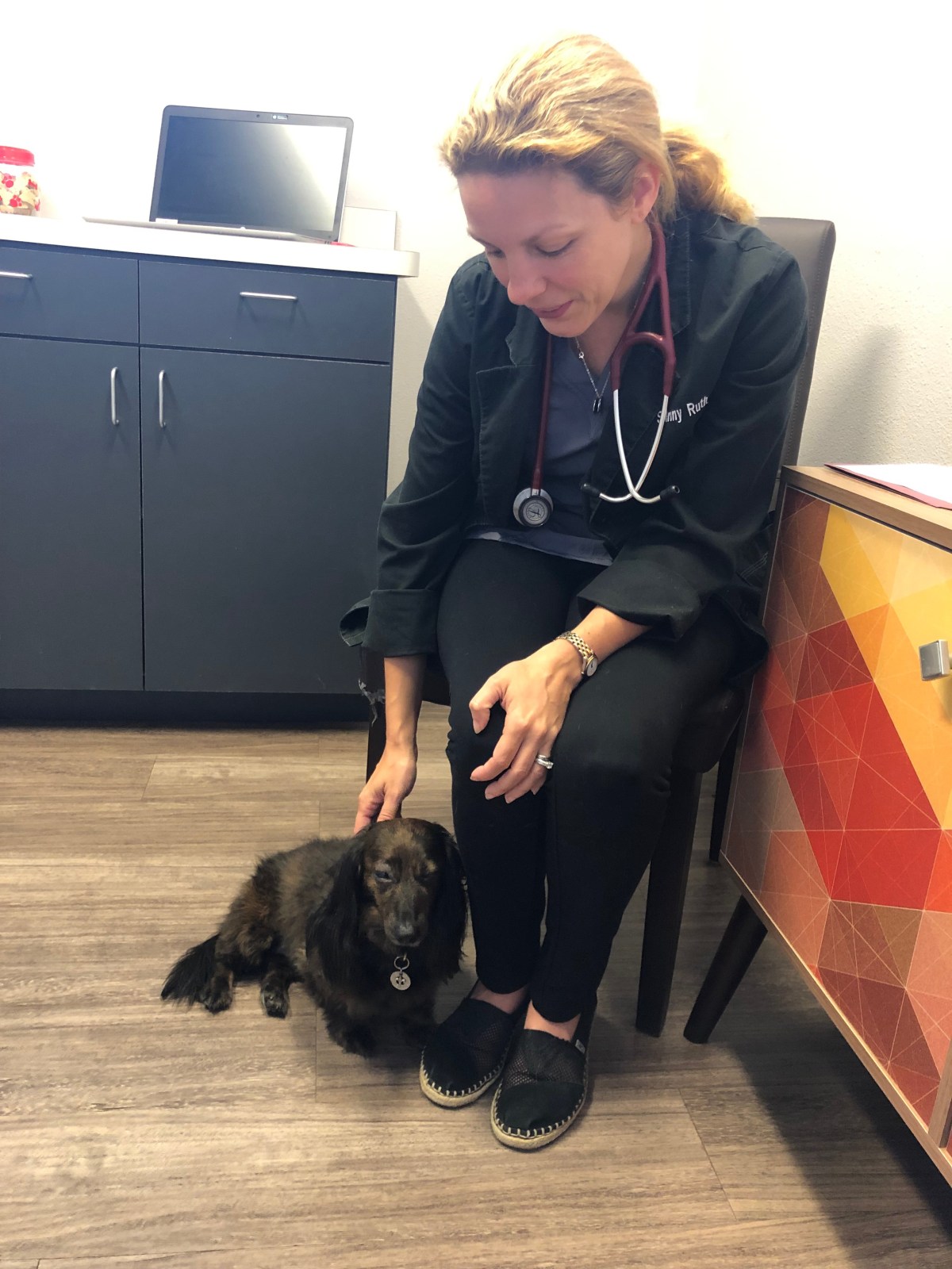 Doxie at the&nbsp;Dentist