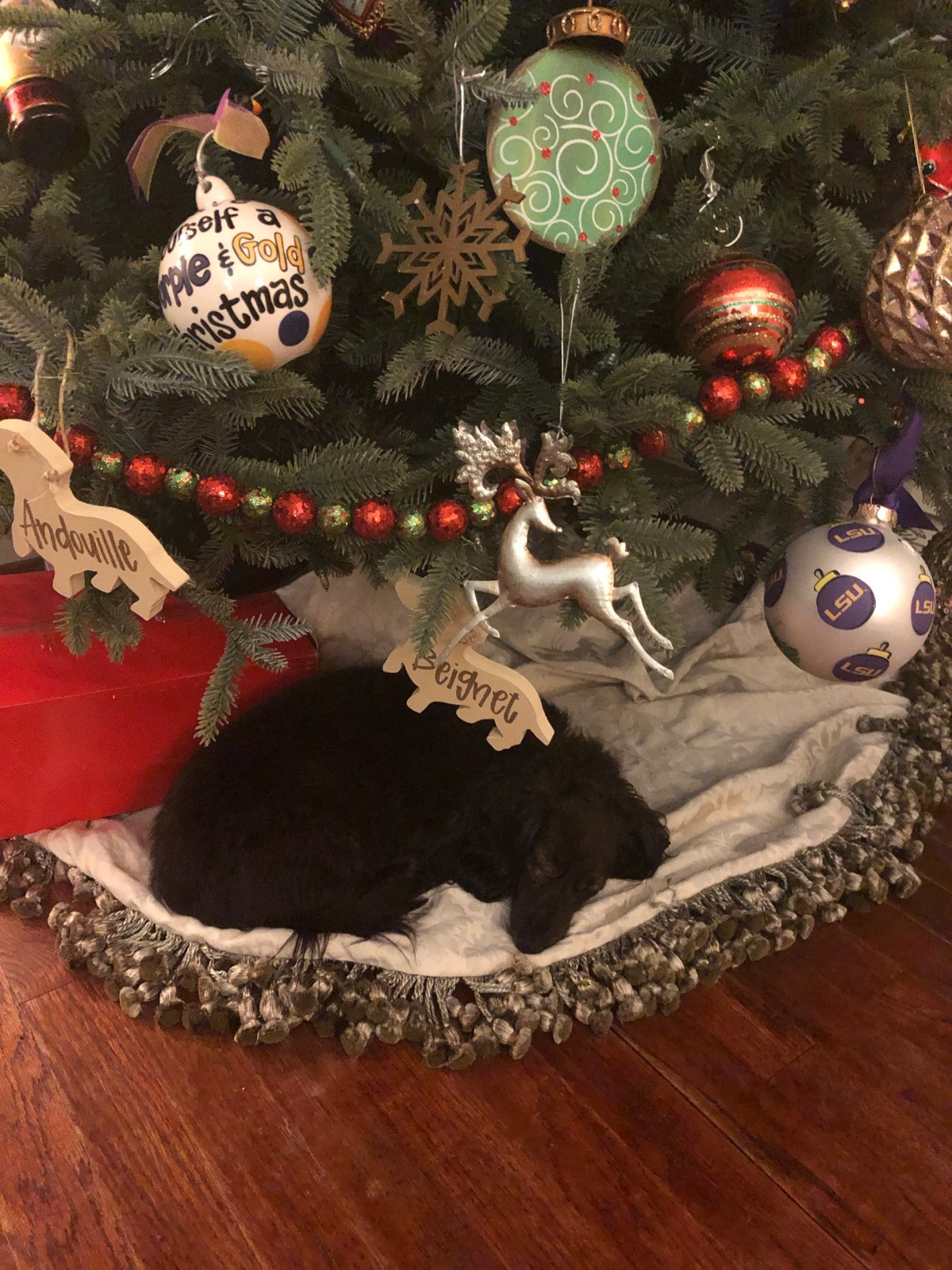 Walking In A Wiener&nbsp;Wonderland